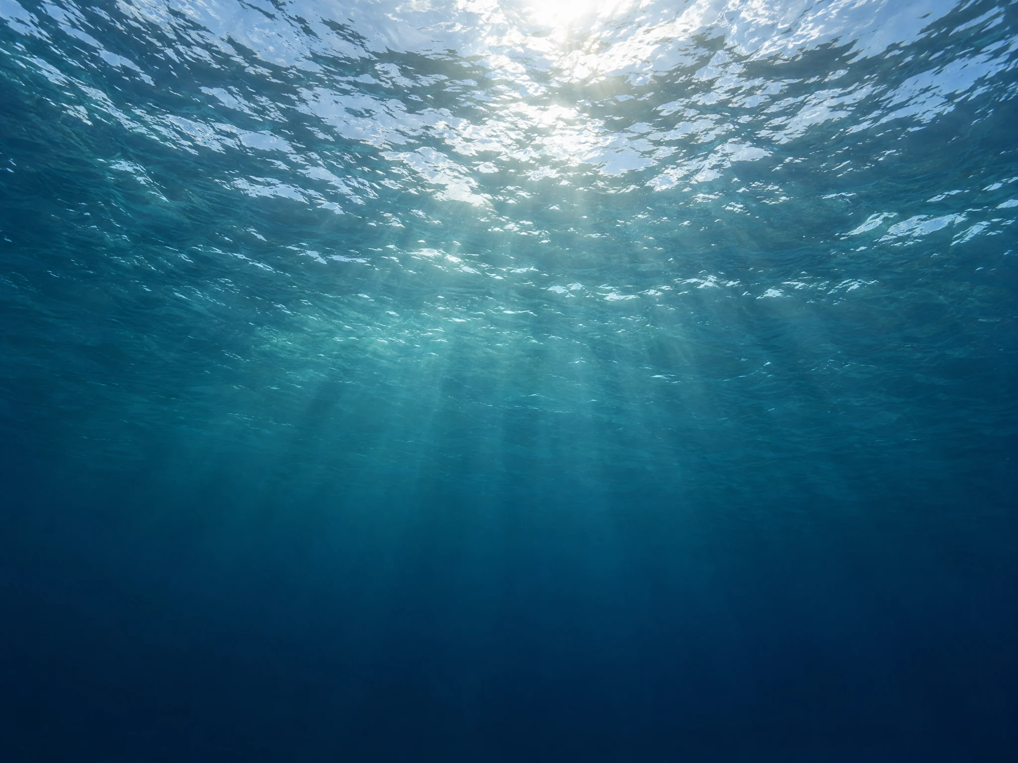 Light filtering through the sea surface, an illustration of marine systems